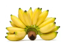 Pisang Mas Bali dengan Rasa Manis Legit