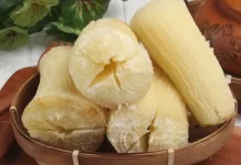 Singkong Rebus Sederhana tapi Kaya Manfaat