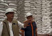 Bulog Bali Pastikan Stok Beras Mampu Penuhi hingga 4 Bulan ke Depan
