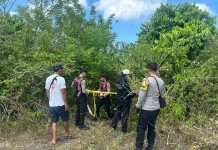Polsek Nusa Penida Gerak Cepat Lakukan Pencarian Warga Hilang dan Sterilisasi TKP
