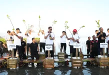 Kolaborasi Hijau Mangrove Bali Perkuat Komitmen Lingkungan Bersama