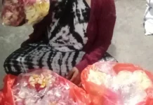 Ketut Novi Pedagang Bunga Jepun di Pasar Sibang