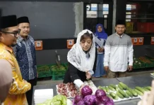 Digitalisasi Koperasi Desa Dipercepat, Ini Fokus Utamanya