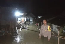 Melaya Dikepung Banjir: Belasan Rumah Terendam, Sapi Hanyut