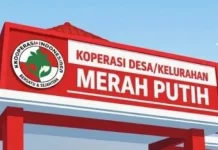 Pemkot Denpasar Sambut Perekrutan Manajer Kopdes Merah Putih
