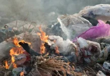 Satpol PP Bali Imbau Warga Hentikan Pembuangan dan Pembakaran Sampah Sembarangan