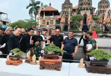Sekda Gianyar Buka Pamnas Bonsai Gianyar