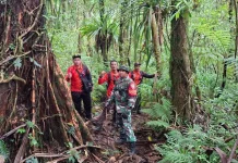 Pendaki Hilang di Gunung Batukaru, Babinsa Jegu Perkuat Operasi SAR Gabungan