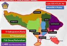 Heterogenitas Sosial, Budaya dan Ekonomi Kreatif Pilar Ketahanan Ekonomi Bali