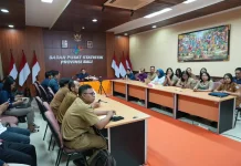 BPS Bali Catat Kenaikan Penerbangan Domestik, Angkutan Laut Justru Menurun