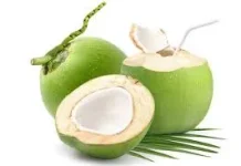 Mitos atau  Fakta? Air Kelapa Muda  untuk Detoks
