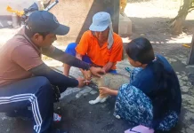 Jembrana Kebut Vaksinasi, Tekan Rabies di Zona Merah
