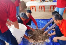 Strategi Zero Waste Mengubah Masalah Lingkungan jadi Pakan Ternak Bergizi