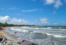 Berakhirnya Musim Angin Barat Tandai Munculnya Penyu di Pantai Kuta
