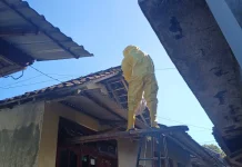 Damkar Jembrana Evakuasi Sarang Tawon Resahkan Warga