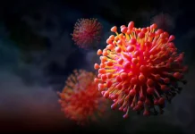 Apa itu Virus Hanta?
