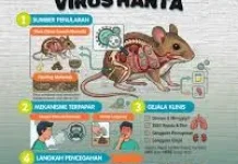 Ini Langkah Aman Terhindar dari Hantavirus