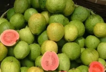 Manfaat Jambu Biji Merah Bali untuk Kesehatan
