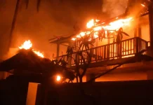 Musim Kemarau Tingkatkan Risiko Kebakaran di Bali