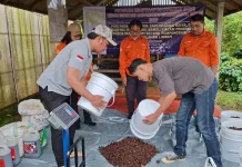Harmoni Lahan Tumpangsari menuju Pertanian Modern Berkelanjutan