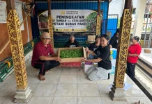 Menjaga Nafas Subak di Jantung Kota Denpasar melalui Budidaya Cabai