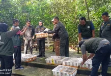 Tim Gabungan Gagalkan Pengiriman Ribuan Ekor Burung Tanpa Dokumen