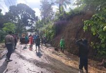 Tanah Longsor Tutup Akses Jalan Tegallalang–Cebok