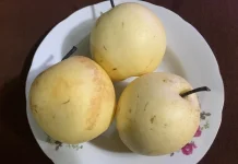 Mengungkap Manfaat Luar Biasa Buah Pir bagi Kesehatan