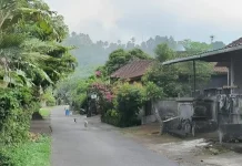 Mengenal Desa Adat Padangaji, Warisan Budaya di Kecamatan Selat Karangasem