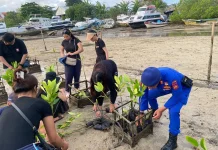 Aksi Mangrove Satukan Pemuda Jaga Pesisir Bali