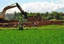 Alih Fungsi Lahan di Bali Disebut Ancam Keharmonisan Alam dan Kehidupan