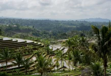 Rai Mantra : Konsep Tri Hita Karana Subak Adalah Sains Mitigasi Bukan Doktrin