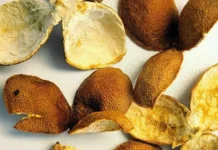 Manfaat Kulit Jeruk untuk Kesehatan