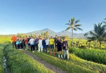 ASITA Bakal Gelar 'Bali Tourism Run 2026' di Jatiluwih