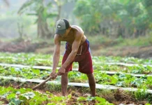 Bukan Sekadar Obrolan, Antenge Tekekang Simpan Pesan Kehidupan yang Menggugah