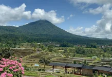 Bali Tourism Run 2026 Siap Digelar, Bergerak dari Jatiluwih untuk Dunia