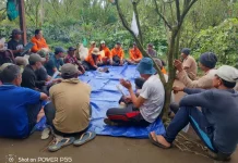 Agroteknologi Unwar Bantu Inovasi Pengendalian Lalat Buah
