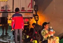 Warga Gilimanuk Tewas Tergencet Truk di Kapal