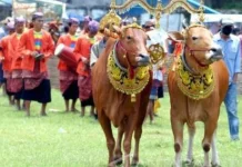 Ragam Tradisi Iduladha Unik di Berbagai Daerah Indonesia, Sarat Makna dan Budaya