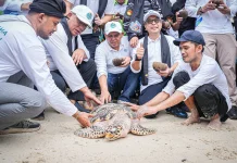 Menteri LH Tegaskan Perlindungan Laut Tak Berhenti di Garis Pantai