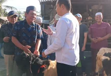 Kembang-Ipat Salurkan Hewan Kurban ke Semua Masjid Jembrana