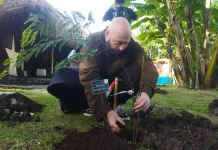 Nuanu Tanam Seribu Pohon Asli Bali di Tabanan