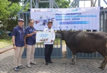 Iduladha 1447 Hijriah, Pelindo Benoa Salurkan 7 Sapi dan 26 Kambing