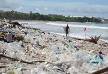 Sampah Plastik dan Pesisir Bali: Ancaman Nyata yang Terus Membesar