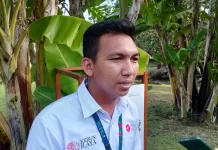 Konservasi Cemara Panda Jadi Fokus Kebun Raya Bali