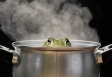 Boiling Frog Syndrome Gambarkan Kelelahan Mental yang Datang tanpa Disadari