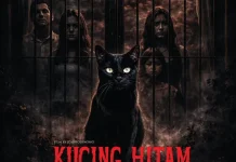 Film Kucing Hitam : Kucing Liar Masuk Rumah, Ketenangan Pun Sirna
