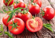 Tomat Kaya Nutrisi Penunjang Kesehatan