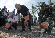 Pemerintah Kabupaten Karangasem Dukung Pengembangan Jagung Hibrida di Subak