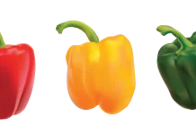 Mengenal Apa itu Paprika dan Manfaatnya